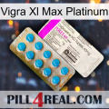 Vigra Xl Max Platinum new07